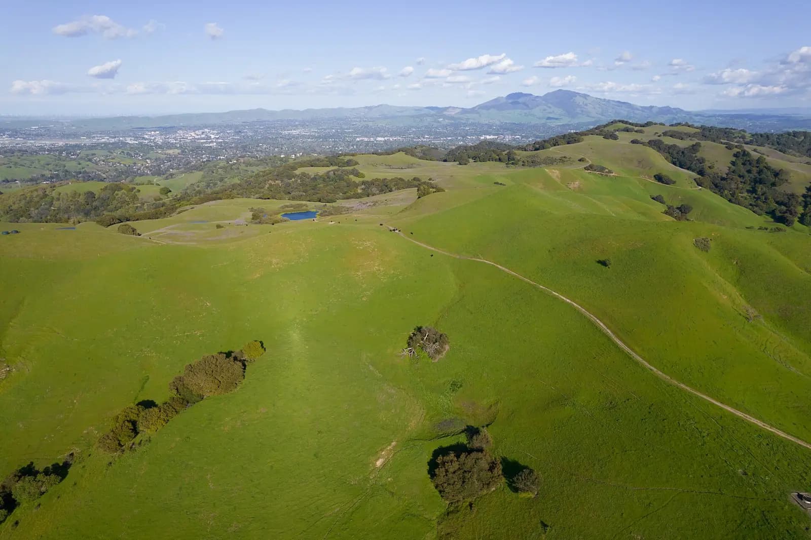 Green hills of Briones Regional Park, with Mount Diablo in the distance
