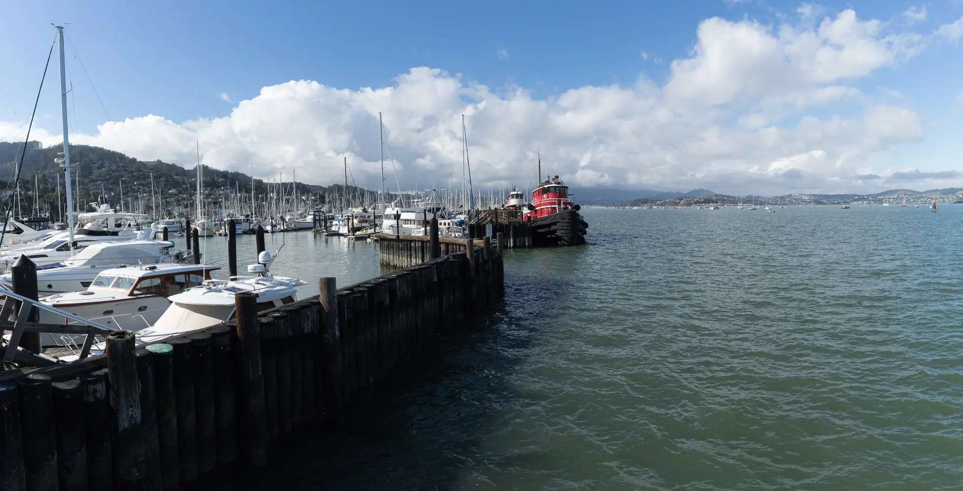 Boats in the Sausalito yacht harbor on Richardson Bay