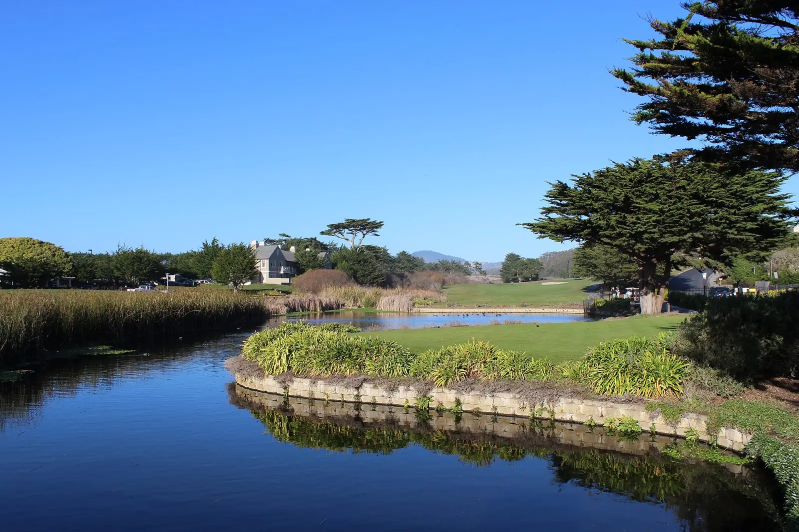 Still water and cypress trees along the coast at Half Moon Bay