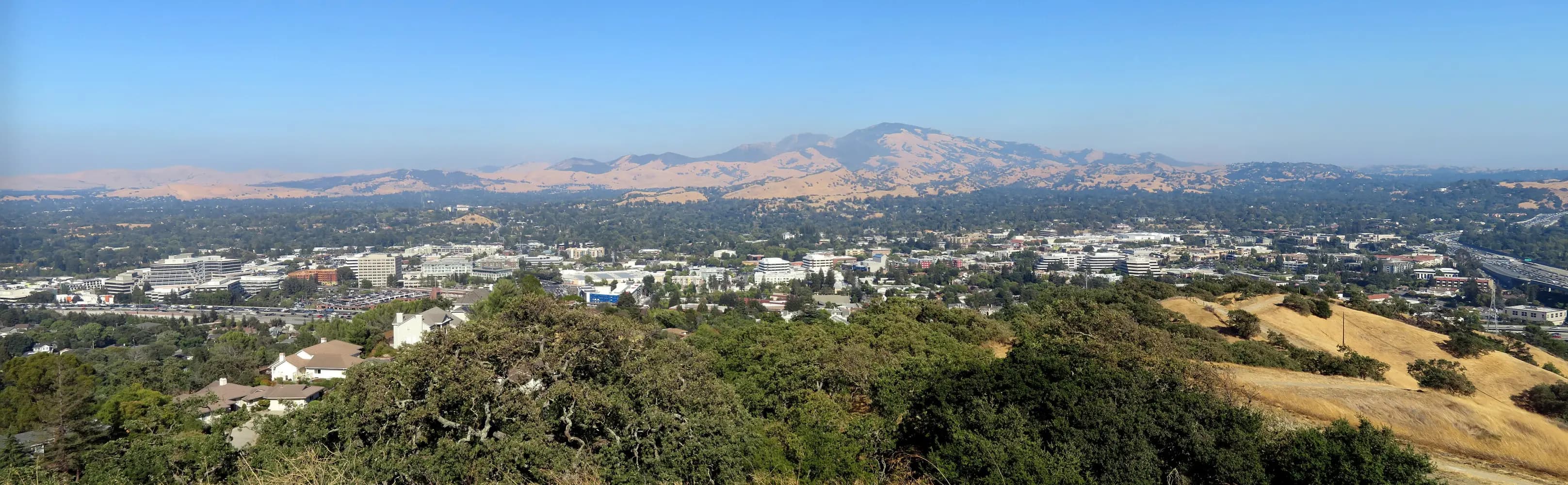 Walnut Creek seen from a hillside, with Mount Diablo on the horizon